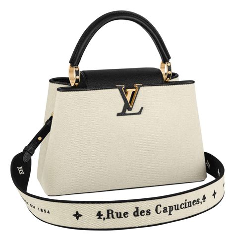 louis vuitton capucines preis|louis vuitton capucines price euro.